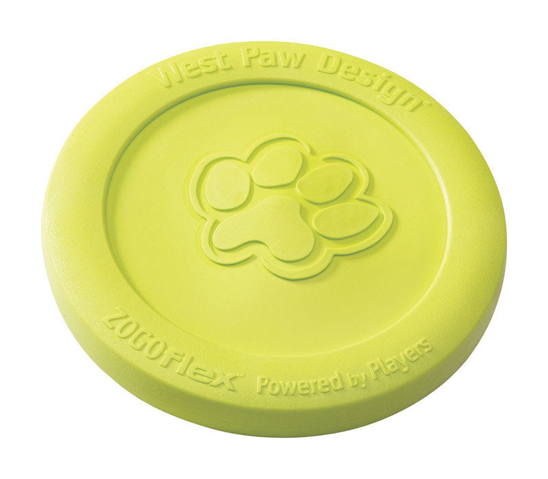 Rubber Frisbee