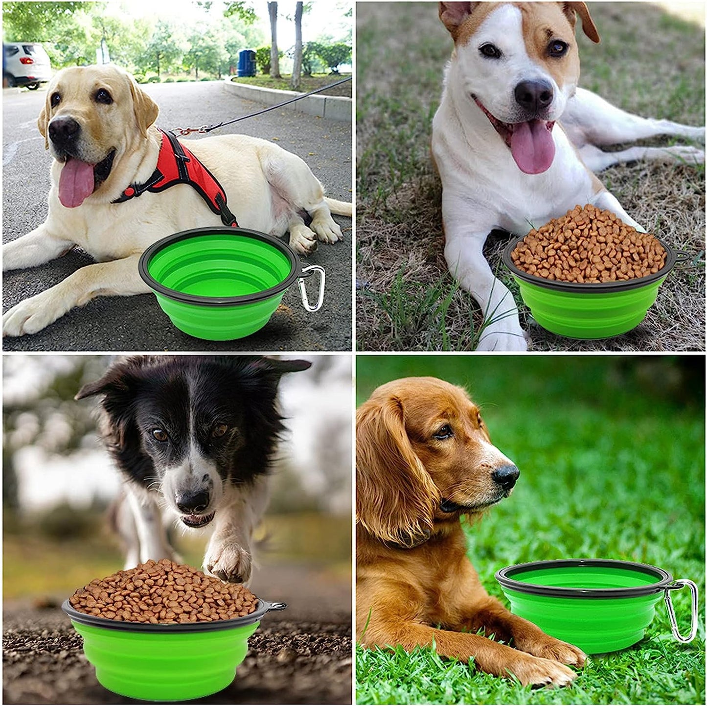 Collapsible Dog Bowl Portable Foldable Dog 