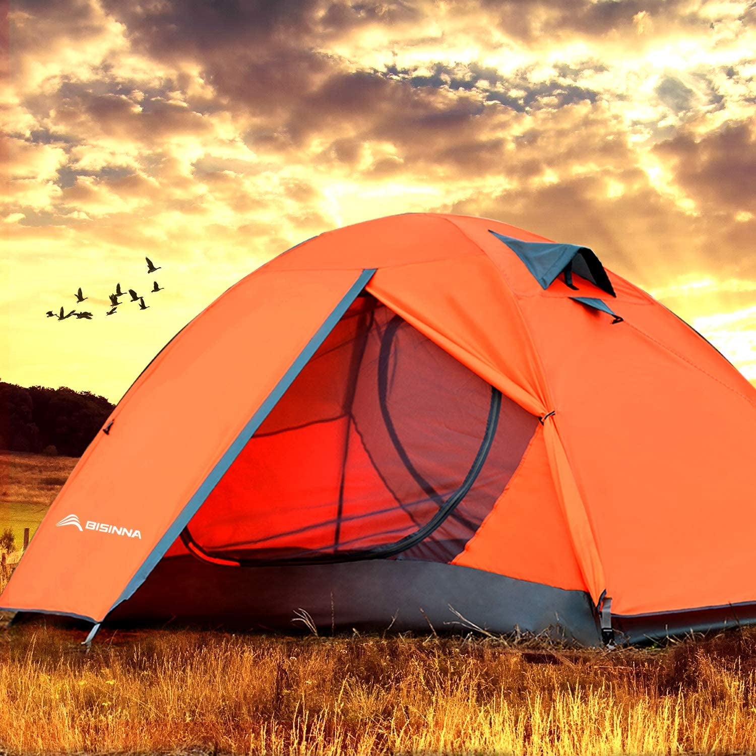 2/4 Person Camping Tent